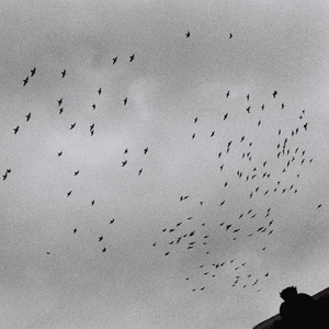 苍老师最经典10部电影
